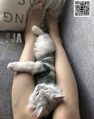 熟悉的味道12_DVD影视在线观看