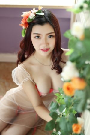《金太狼的幸福生活》_高清完整版观看