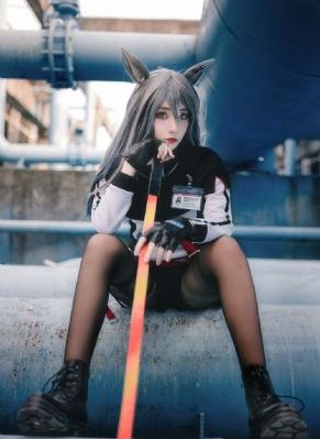 猫和老鼠传奇_全集电影手机在线观看